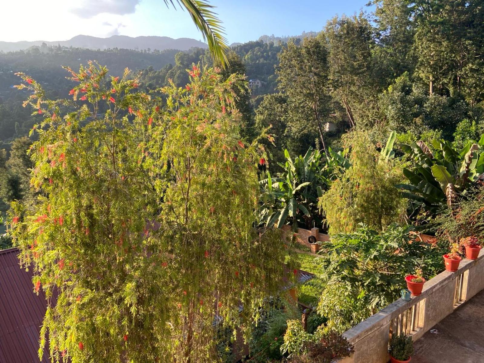 Lushoto Views Cottage Экстерьер фото